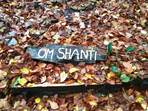 Om Shanti 